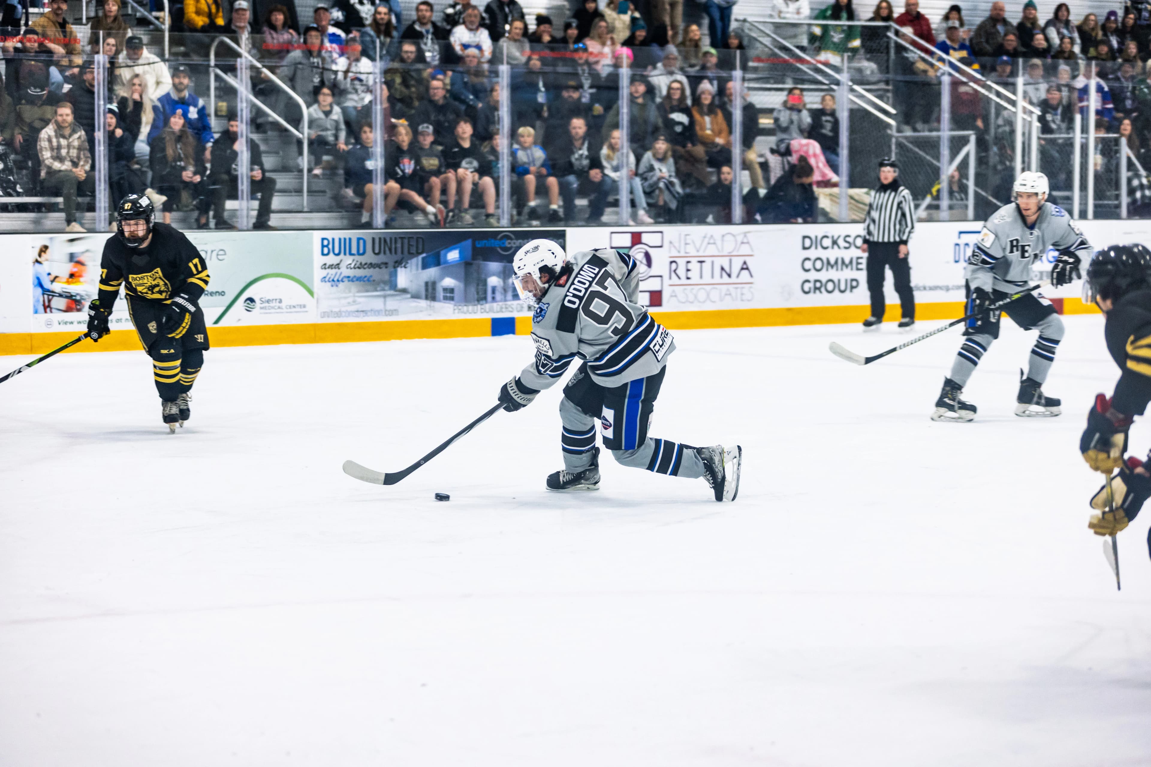 Ellis O'Dowd playing on the Reno Ice Raiders